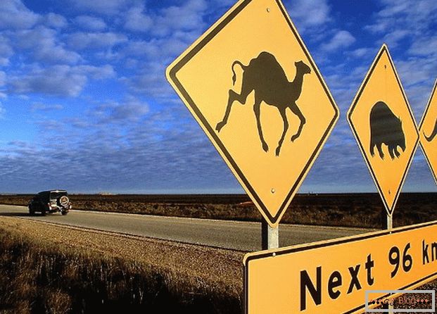 Un panneau routier australien avertit que divers animaux peuvent courir sur la route.
