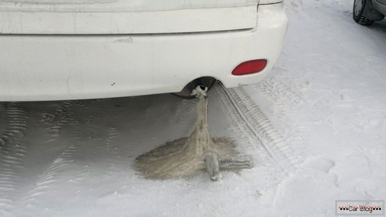 Système d'échappement de voiture gelé